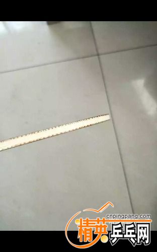 1488075288474.jpg