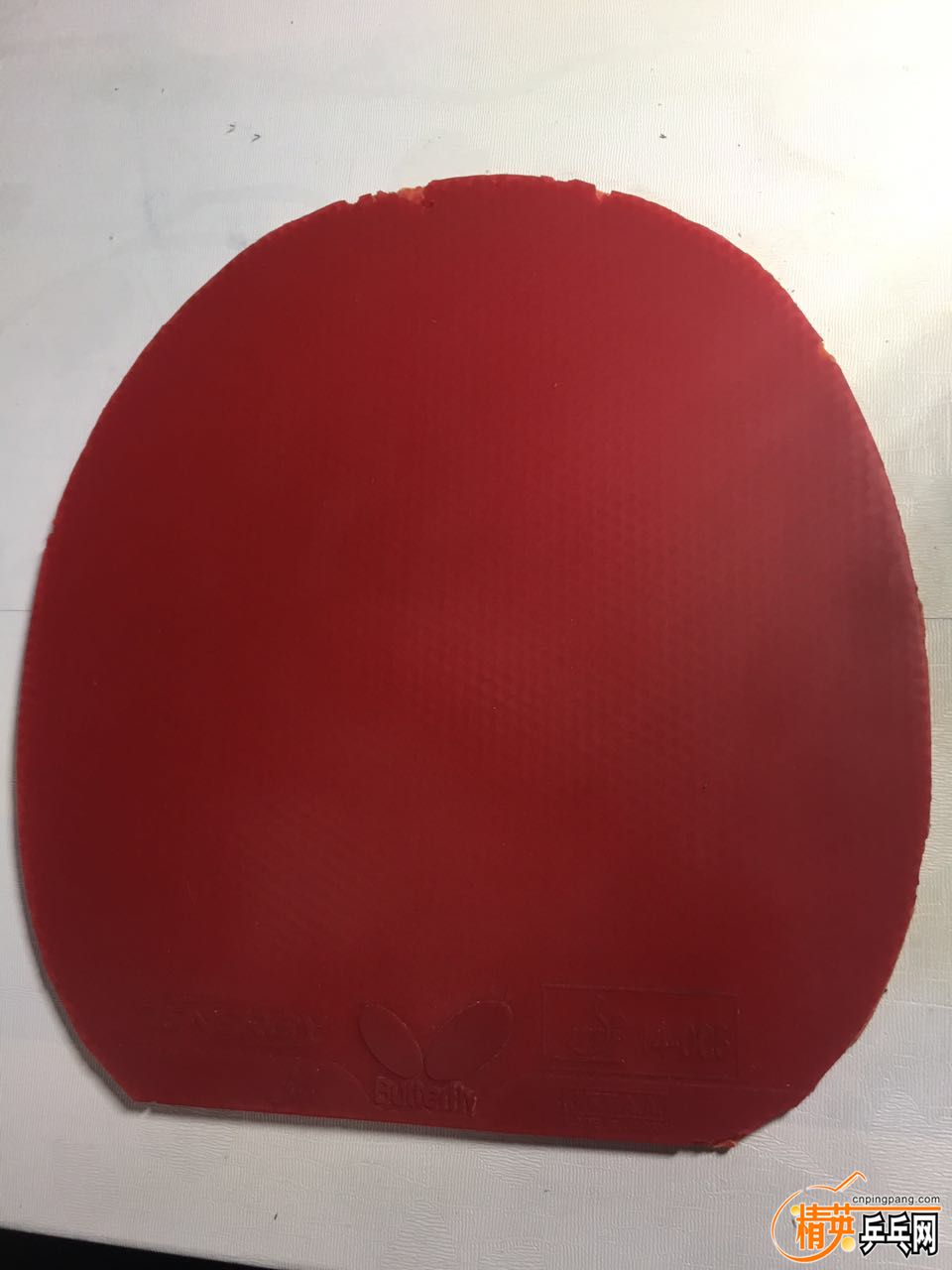 64.jpg
