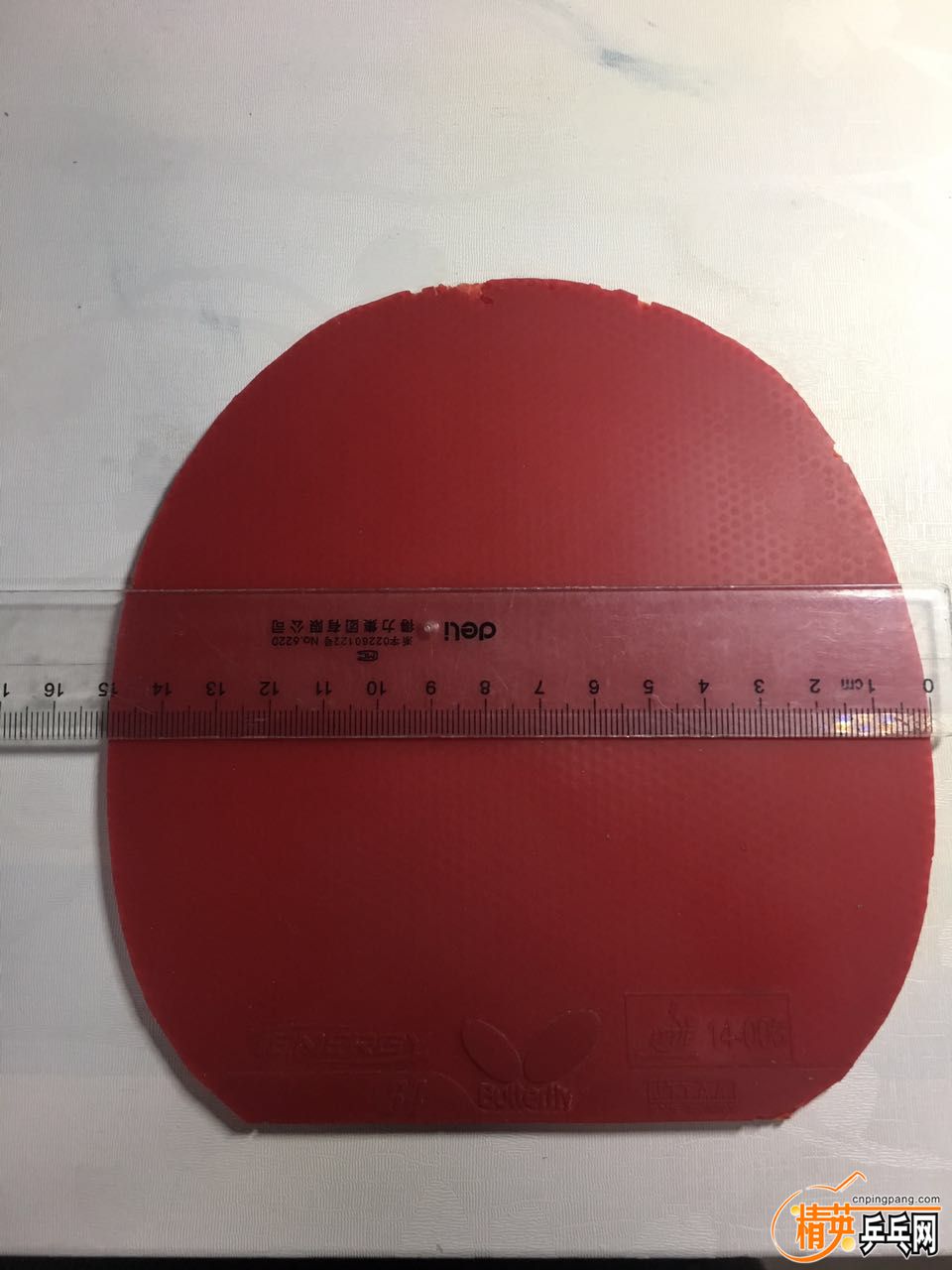 74253735174530511.jpg