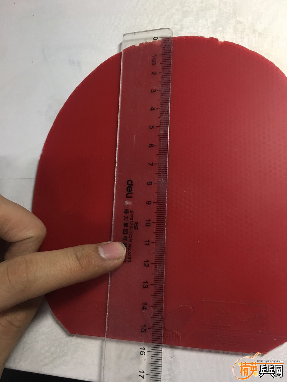 474594826409672603.jpg