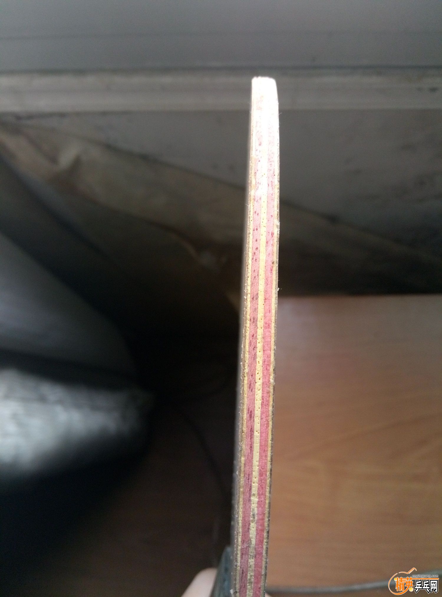 P61228-132822_recompress.jpg