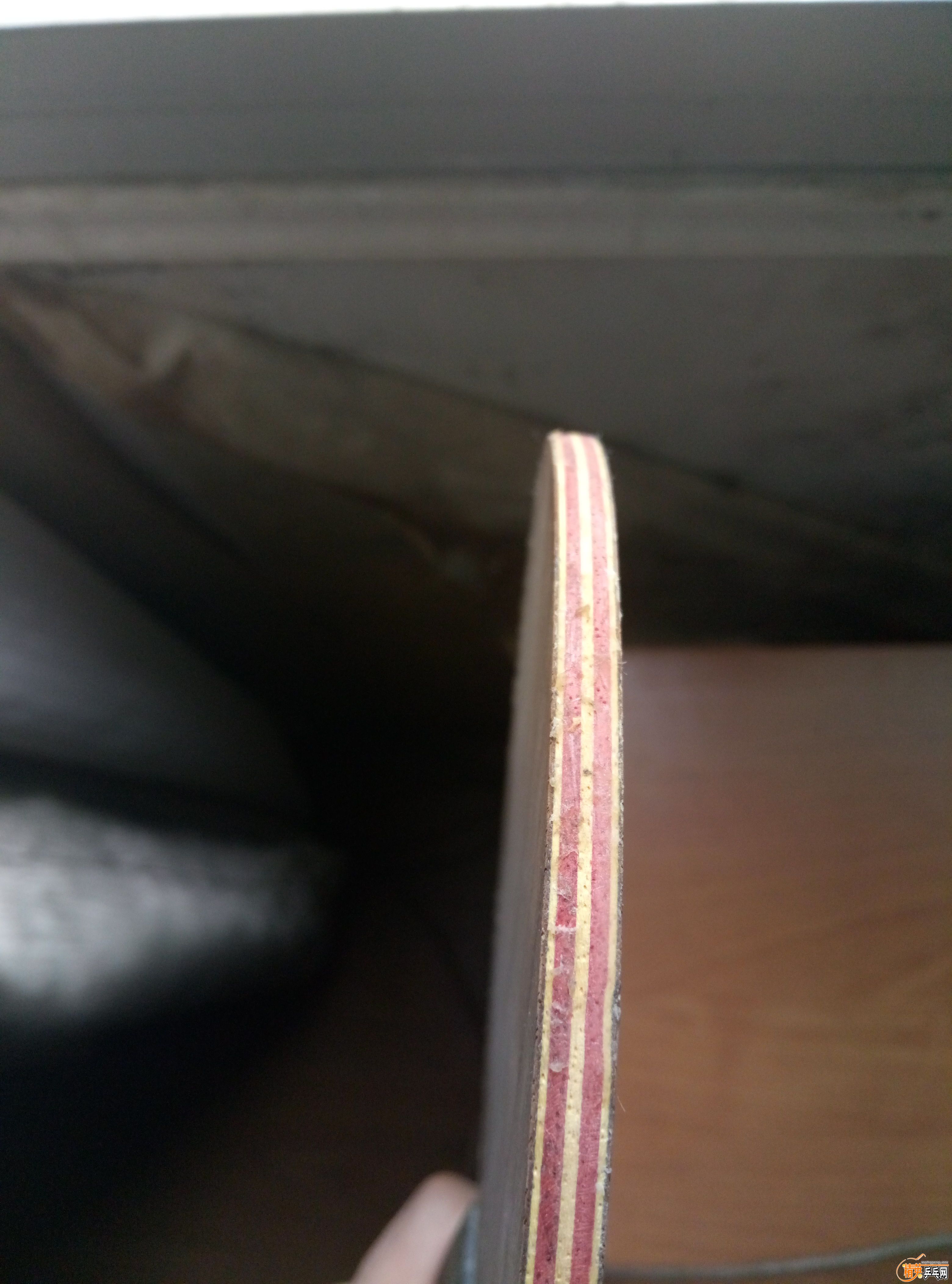 P61228-132828_recompress.jpg