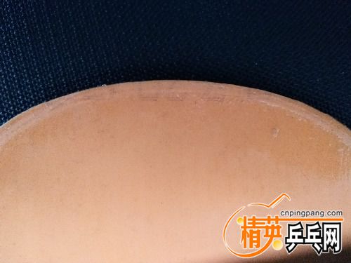 IMG_20170302_131919.jpg