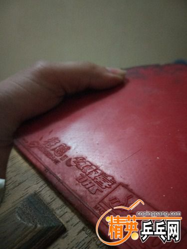 IMG_20170304_042313_HHT.jpg