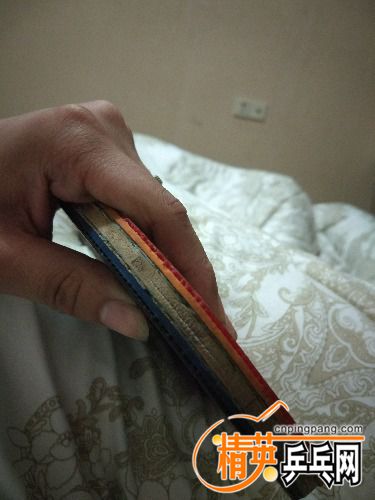 IMG_20170304_042356_HHT.jpg