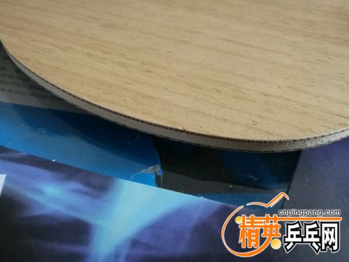 IMG_20170304_134423.jpg