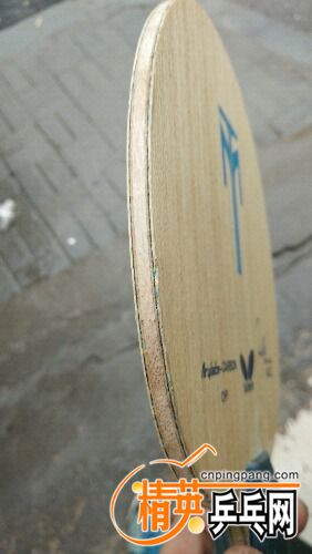 IMG20170305150120.jpg