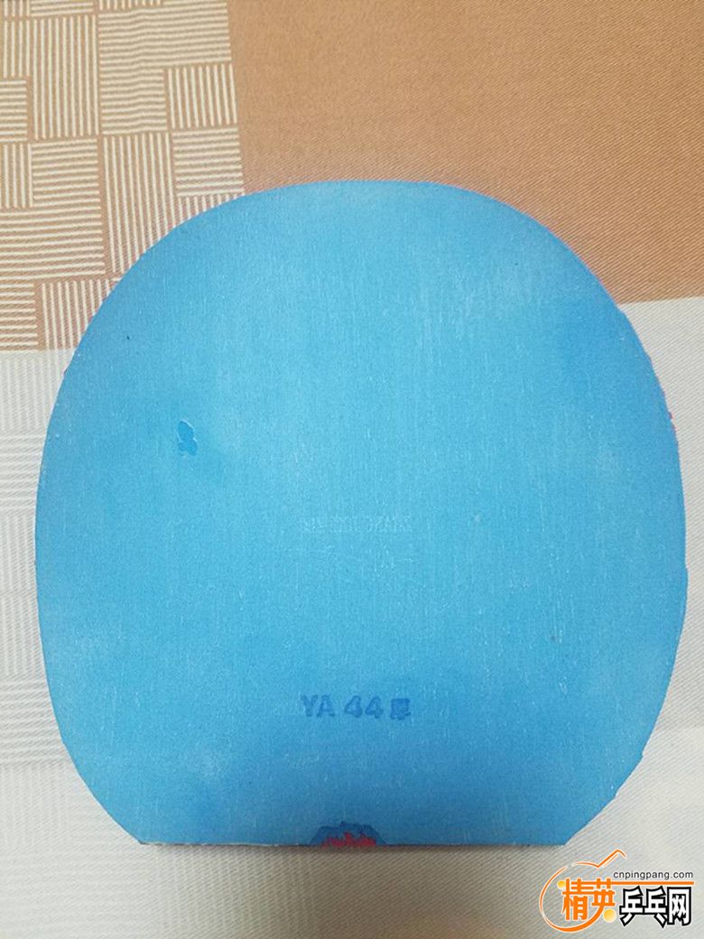 854598569839442499_.jpg