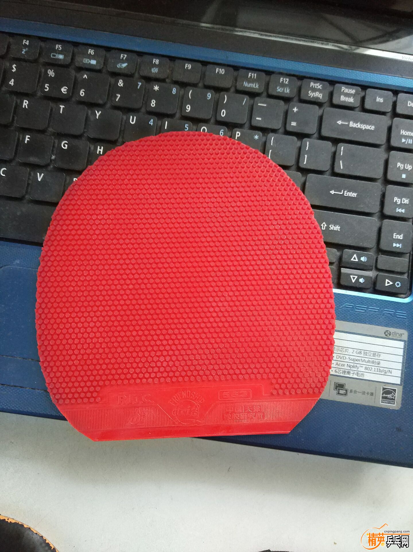121122prjtrpoolntdgwn2.jpg