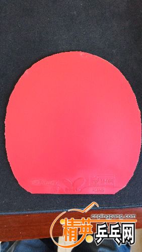P_20170309_124546.jpg