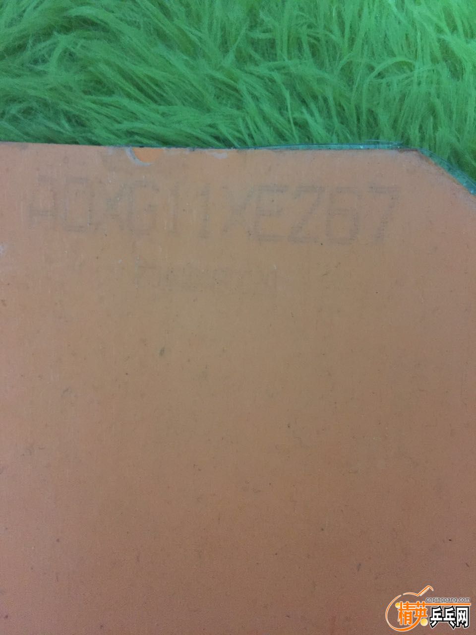 97825225120170938.jpg