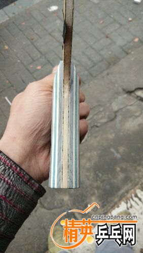 IMG20170313160451.jpg