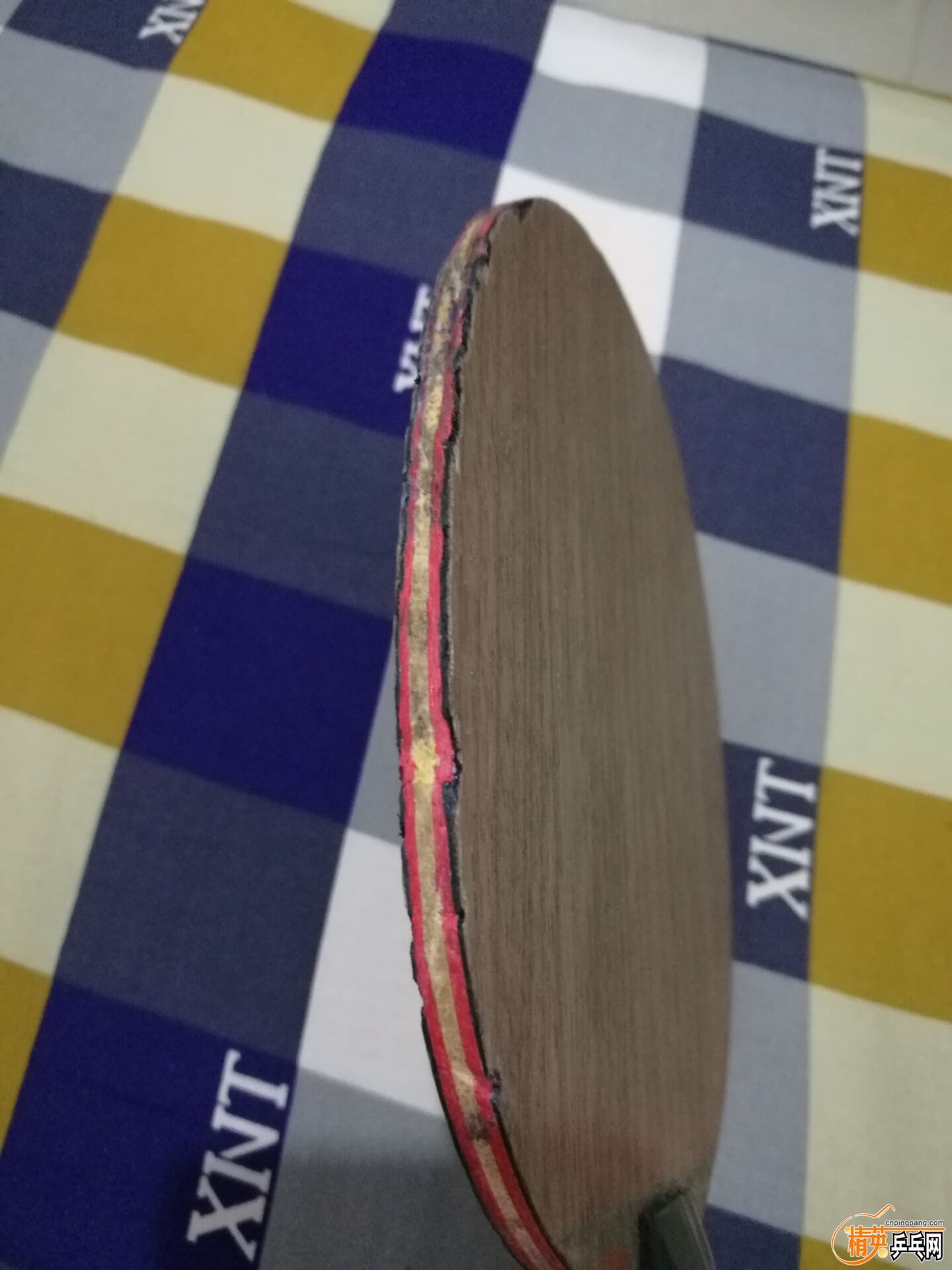 QQͼƬ20170313204224.jpg