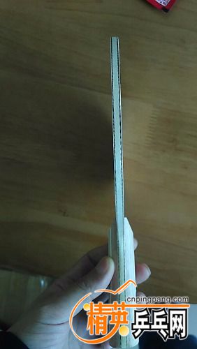 IMG20170308120547.jpg