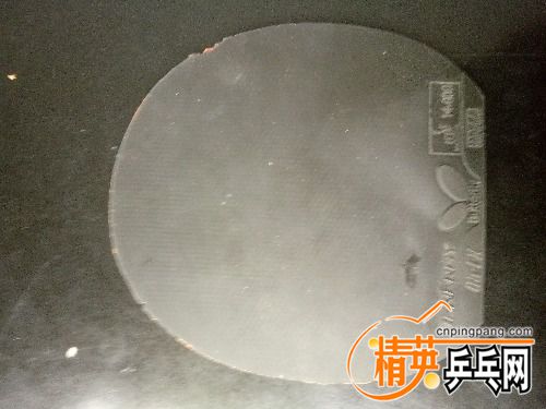 IMG20170314094830.jpg