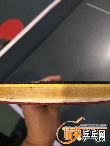 IMG_20170316_184727.jpg