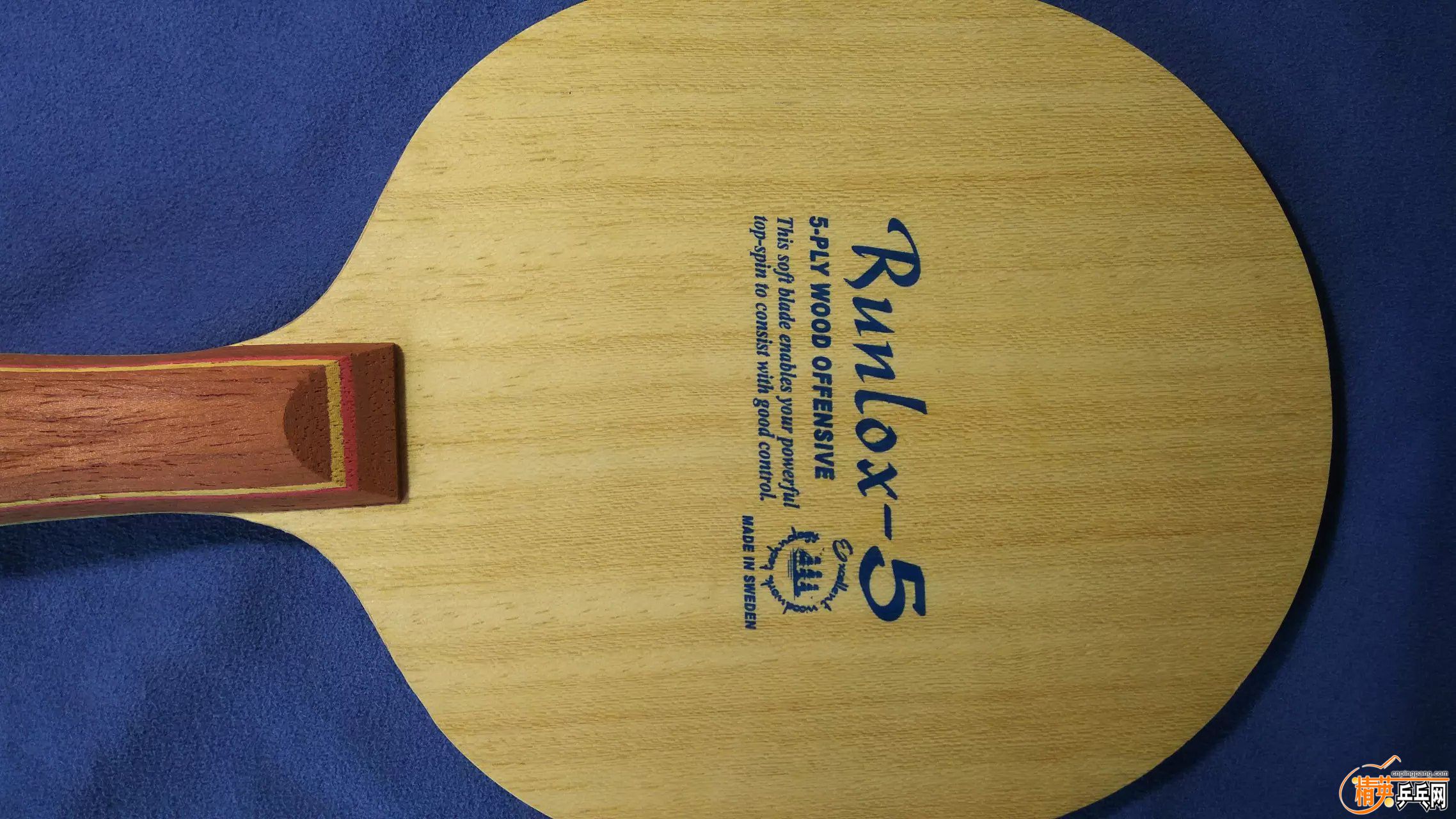 R502.jpg
