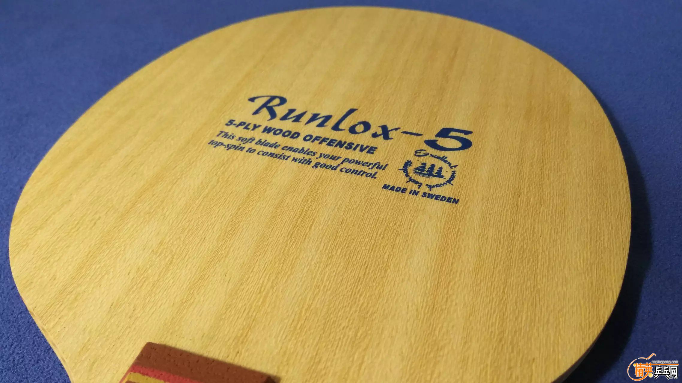 R509.jpg