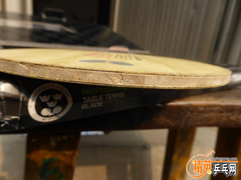 P1030018 (800x600).jpg