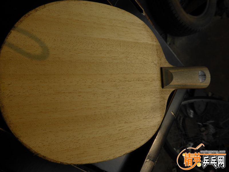 P1030038 (800x600).jpg