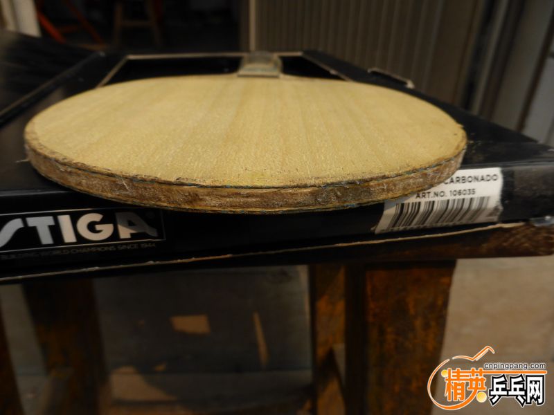 P1030039 (800x600).jpg