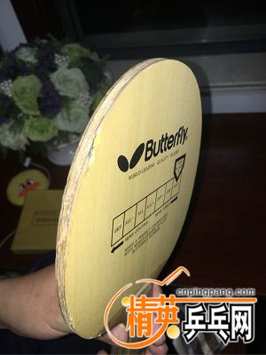 TB2n9ROXMSI.eBjy1XcXXc1jXXa_!!0-fleamarket.jpg_728x728.jpg