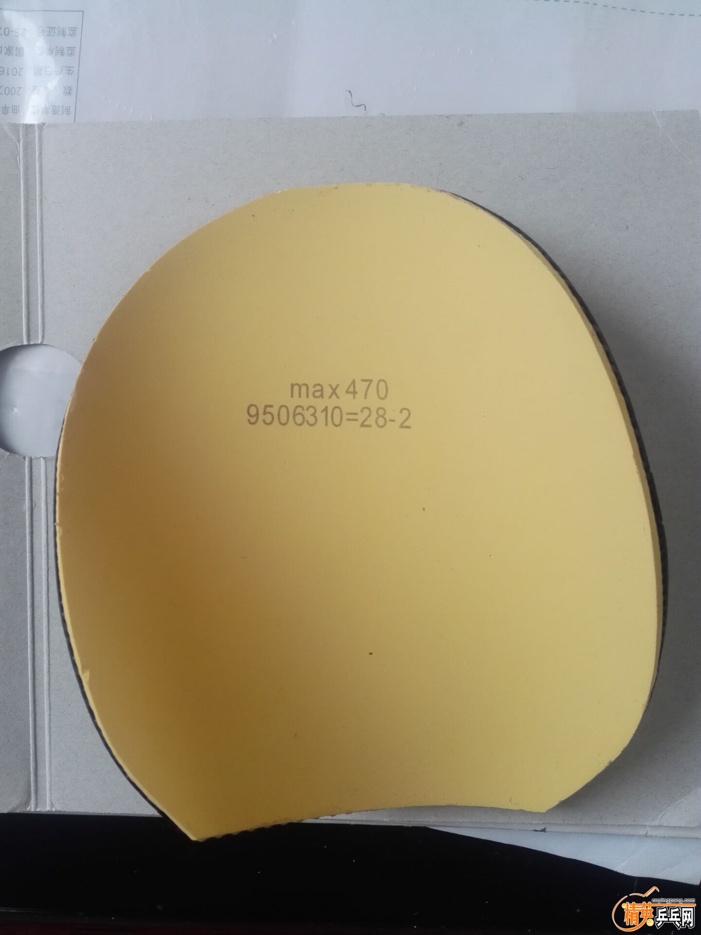 470.jpg