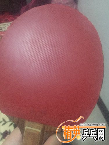 image.jpeg