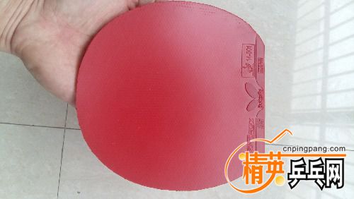 20170325_111612.jpg