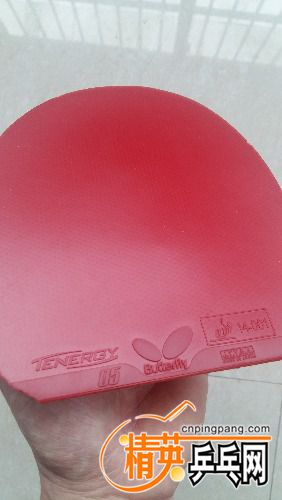 20170325_111637.jpg