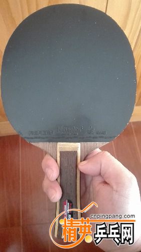 IMG_20170327_072531.jpg