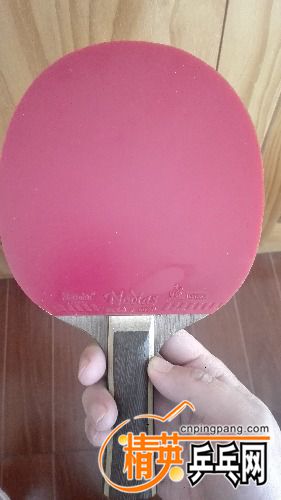 IMG_20170327_072540.jpg