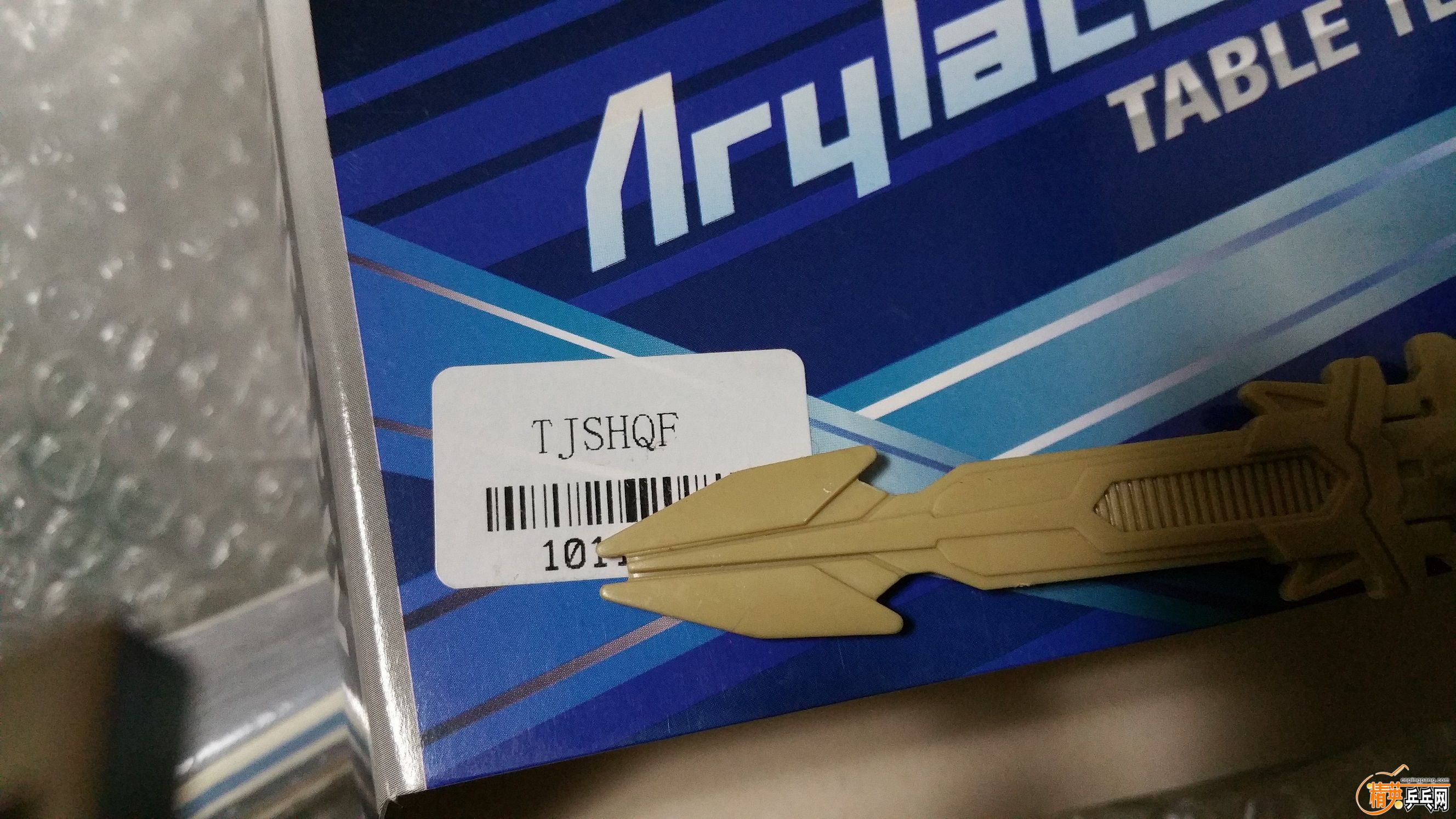 .jpg