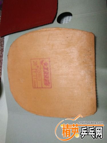 IMG20170321184438.jpg