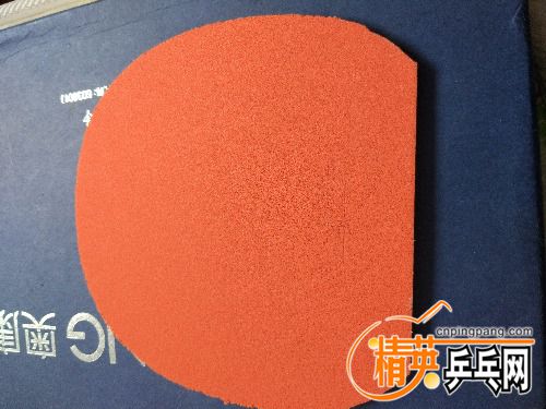 IMG_20170329_130244.jpg