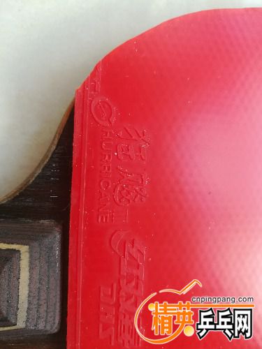 IMG_20170329_153224.jpg