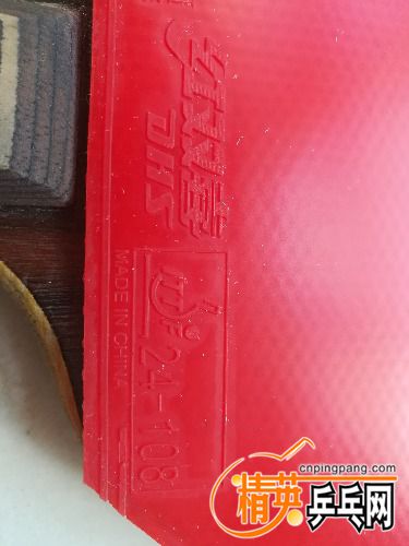 IMG_20170329_153232.jpg
