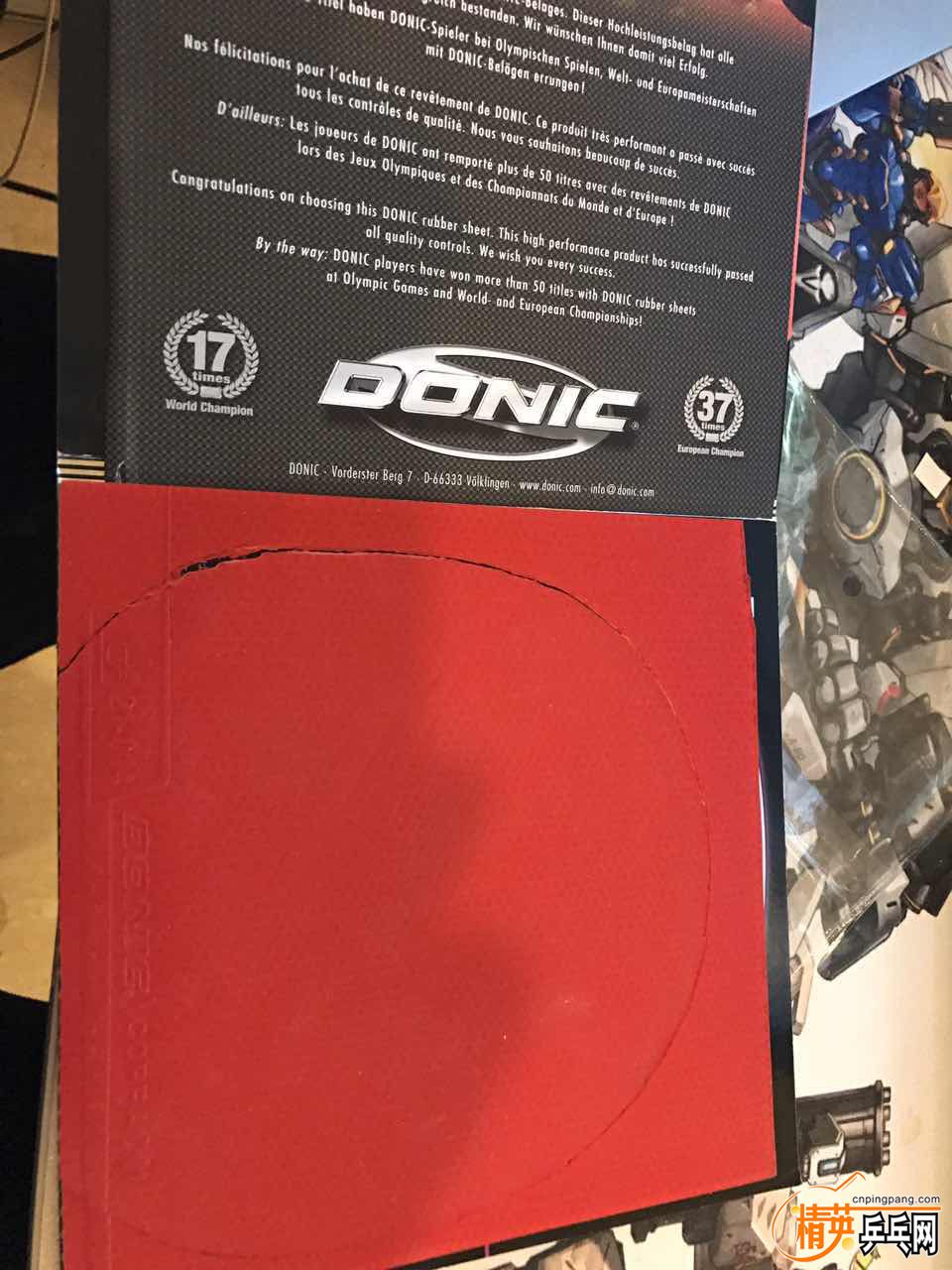 539083731611744392.jpg