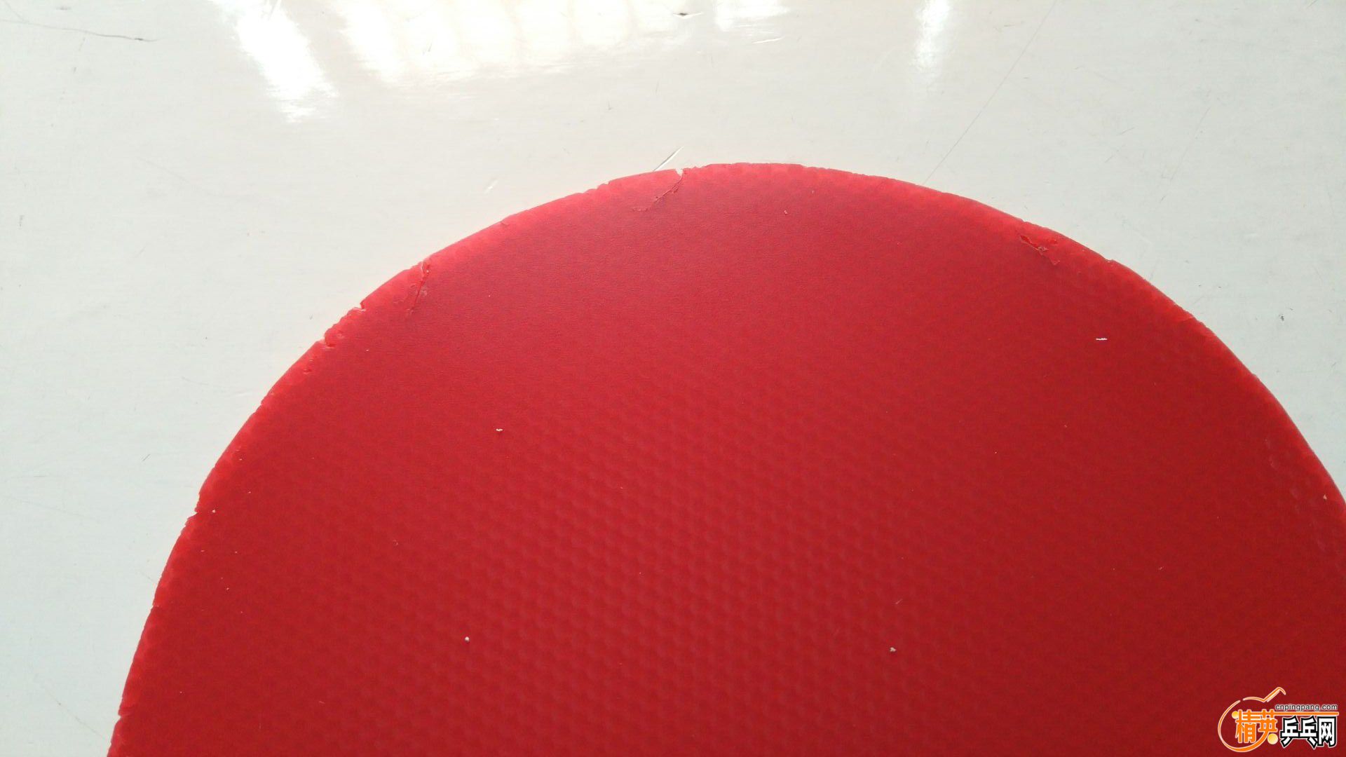 F5E5282A5051D70987CEB9FD33096E8A.jpg