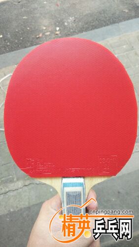 IMG20170402115303.jpg