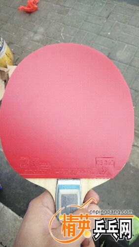IMG20170402115245.jpg