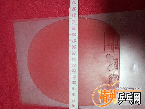 IMG_20170402_230430.jpg