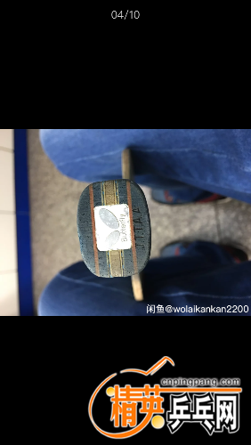 IMG_3736.PNG