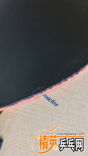 IMG_20170404_085916.jpg
