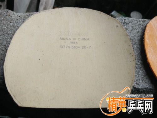 IMG20170405134223.jpg