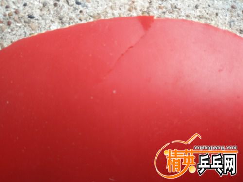 IMG20170405134237.jpg
