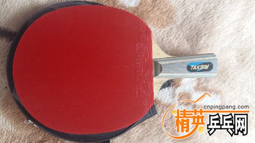 20170405_155650.jpg