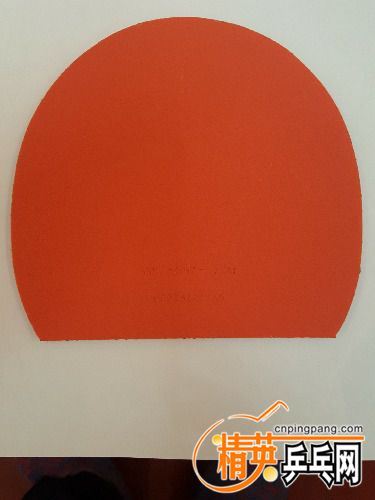 20170405_225734.jpg