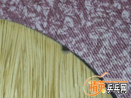 IMG20170405223645.jpg