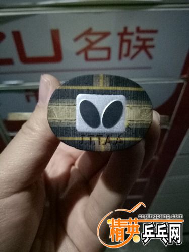 IMG20170406002533.jpg